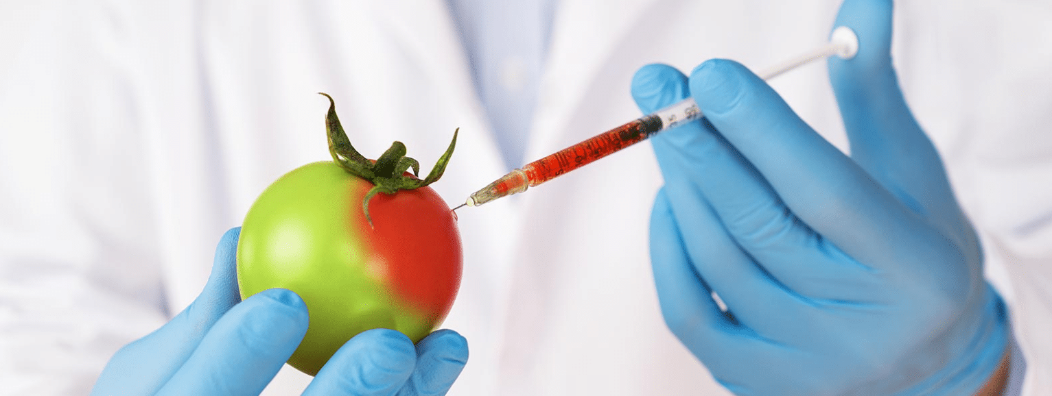 Ventajas y Desventajas de los Alimentos Transgénicos